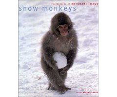 SNOW MONKEYS. PHOTOGRAPHS BY MITSUAKI IWAGO