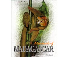 MAMMALS OF MADAGASCAR                                                                                                                                 