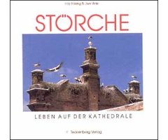 STÖRCHE