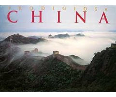 PRODIGIOSA CHINA