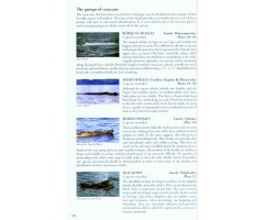 BIRDS, MAMMALS AND REPTILES OF THE GALÁPAGOS ISLANDS                                                                                           6