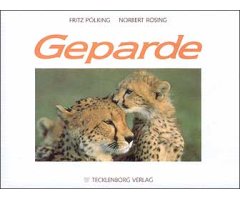 GEPARDE