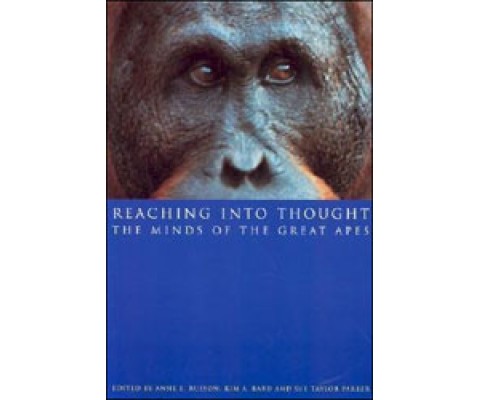 REACHING INTO THOUGHT. THE MINDS OF THE GREAT APES