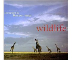 WILDLIFE. PHOTOGRAPHS BY MITSUAKI IWAGO