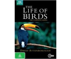 DVD THE LIFE OF BIRDS THE COMPLETE SERIES