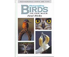 PHOTOGRAPHING BIRDS IN THE WILD
