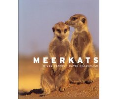 MEERKATS