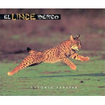 EL LINCE IBERICO