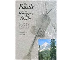 THE FOSSILS OF BURGESS SHALE