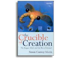 THE CRUCIBLE OF CREATION. THE BURGESS SHALE AND THE RISE OF ANIMALS