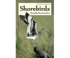BEAUTIFUL BEACHCOMBERS SHOREBIRDS                                                                                                                     