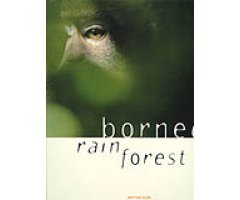 BORNEO RAIN FOREST