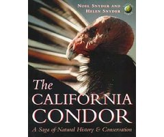 THE CALIFORNIA CONDOR. A SAGA OF NATURAL HISTORY AND CONSERVATION