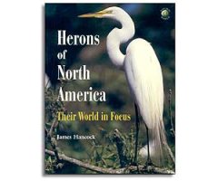 HERONS OF NORTH AMERICA