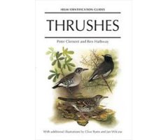 HELM IDENTIFICATION GUIDES. THRUSHES