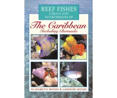 REEF FISHES, CORALS AND INVERTEBRATES OF THE CARIBBEAN INCLUDING BERMUDA                                                                              
