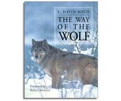 THE WAY OF THE WOLF