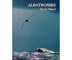 ALBATROSSES