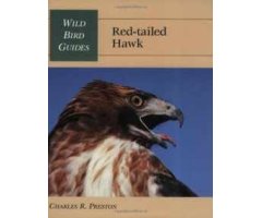 WILD BIRD GUIDES RED-TAILED HAWK