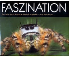 FASZINATION EIN JAHR