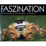 FASZINATION EIN JAHR