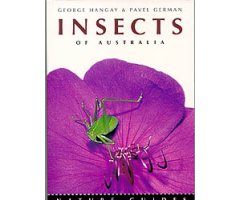 INSECTS OF AUSTRALIA                                                                                                                                  