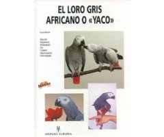 EL LORO GRIS AFRICANO O \