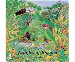 CD JUNGLES DE BORNÉO / JUNGLES OF BORNEO