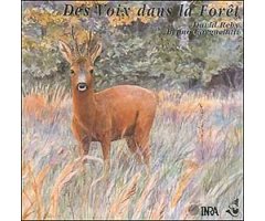 CD LES VOIX DANS LA FORÊT                                                                                                                             