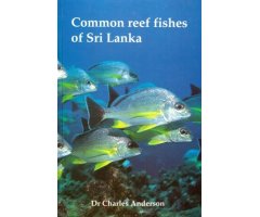 COMMON REEF FISHES OF SRI LANKA