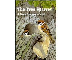 THE TREE SPARROW