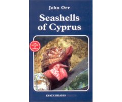 SEASHELLS OF CYPRUS