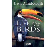THE LIFE OF BIRDS