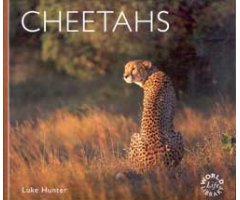 WORLDLIFE LIBRARY. CHEETAHS