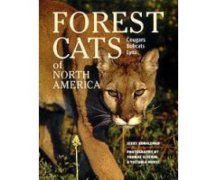 FOREST CATS OF NORTH AMERICA. COUGARS, BOBCATS AND LYNX