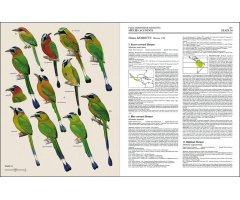 HANDBOOK OF THE BIRDS OF THE WORLD, VOL. 6. MOUSEBIRDS TO HORNBILLS_1