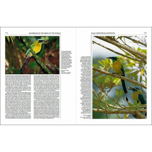 HANDBOOK OF THE BIRDS OF THE WORLD, VOL. 6. MOUSEBIRDS TO HORNBILLS 3