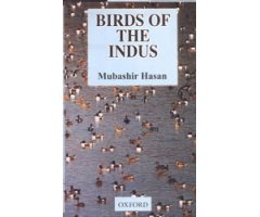 BIRDS OF THE INDUS