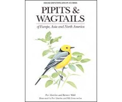 PIPITS AND WAGTAILS OF EUROPE, ASIA AND NORTH AMERICA
