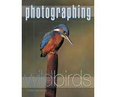 PHOTOGRAPHING WILD BIRDS