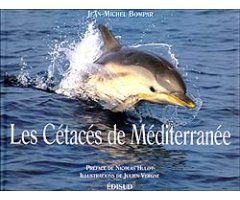 LES CÉTACÉS DE MÉDITERRANÉE