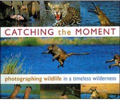 CATCHING THE MOMENT. PHOTOGRAPHING WILDLIFE IN A TIMELESS WILDERNESS