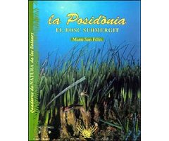 LA POSIDÒNIA. EL BOSC SUBMERGIT. QUADERNS DE NATURA DE LES BALEARS