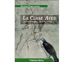 LA CLASE AVES. UN RECORRIDO BIOLÓGICO POR LA TAXONOMÍA