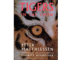 TIGERS IN THE SNOW