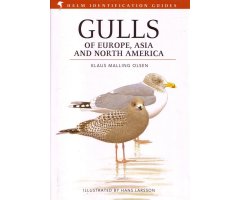 HELM IDENTIFICATION GUIDES. GULLS OF EUROPE, ASIA & NORTH AMERICA