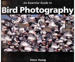 AN ESSENTIAL GUIDE TO BIRD PHOTOGRAPHY
