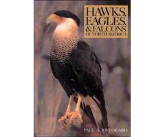 HAWKS, EAGLES, AND FALCONS OF NORTH AMERICA. BIOLOGY AND NATURAL HISTORY                                                                              