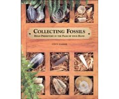 COLLECTING FOSSILS                                                                                                                                    