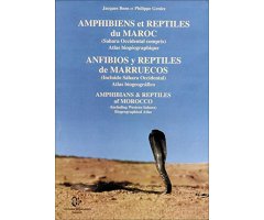 ANFIBIOS Y REPTILES DE MARRUECOS (INCLUIDO SÁHARA OCCIDENTAL) ATLAS BIOGEOGRÁFICO